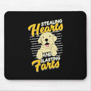 Labrador Retriever Stealing Hearts Musmatta