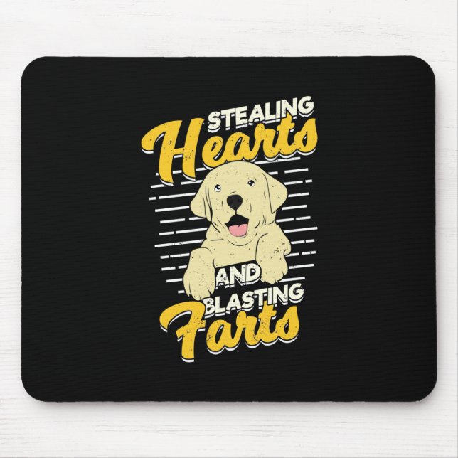 Labrador Retriever Stealing Hearts Musmatta (Framsidan)