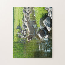 Labrador Retriever stenar för sjö