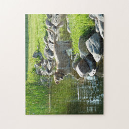 Labrador Retriever stenar för sjö Pussel