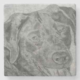 Labrador Retriever Stenunderlägg