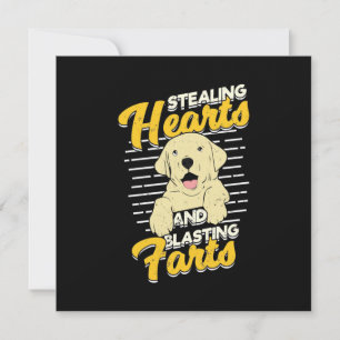 Labrador Retriever Stjäl Hjärtan Inbjudningar