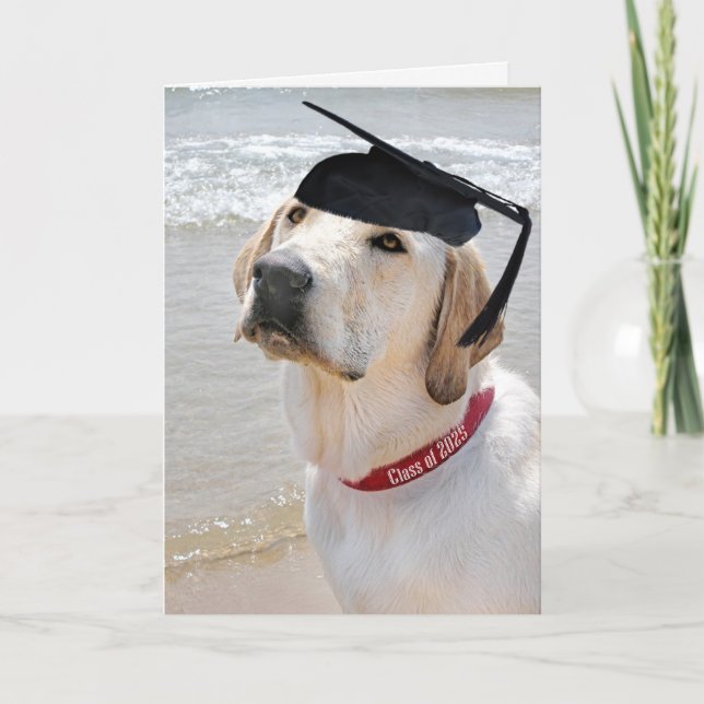 Labrador Retriever Studenten 2025 Kort (Framsida)