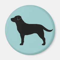 Labrador Retriever (Svart)