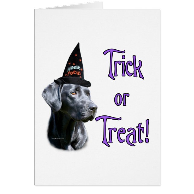 Labrador Retriever (svart)Trick Hälsningskort (Framsidan)