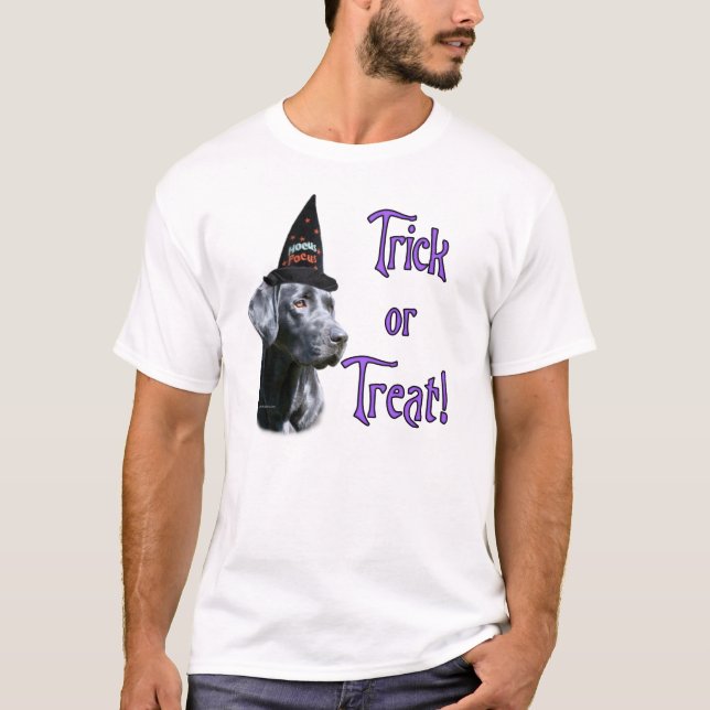 Labrador Retriever (svart)Trick T-shirt (Framsida)