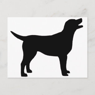 Labrador Retriever (svart) Vykort