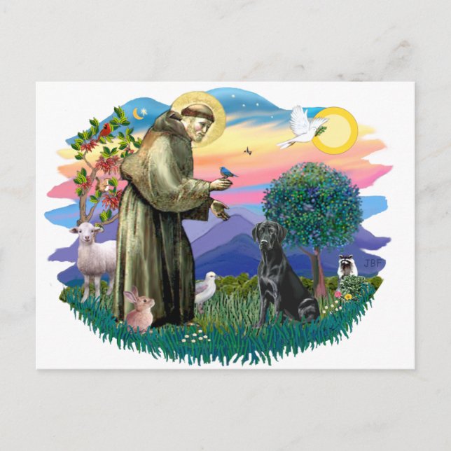 Labrador Retriever (svart) Vykort (Framsida)