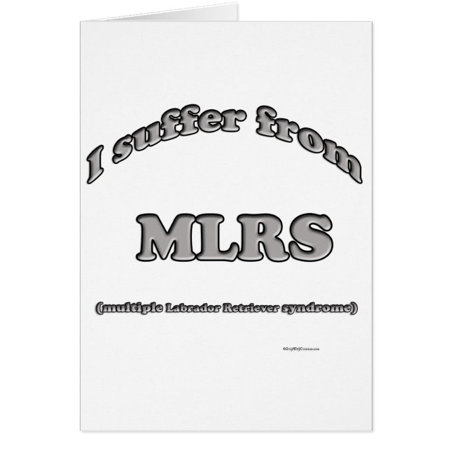 Labrador Retriever Syndrome Hälsningskort (Framsidan)
