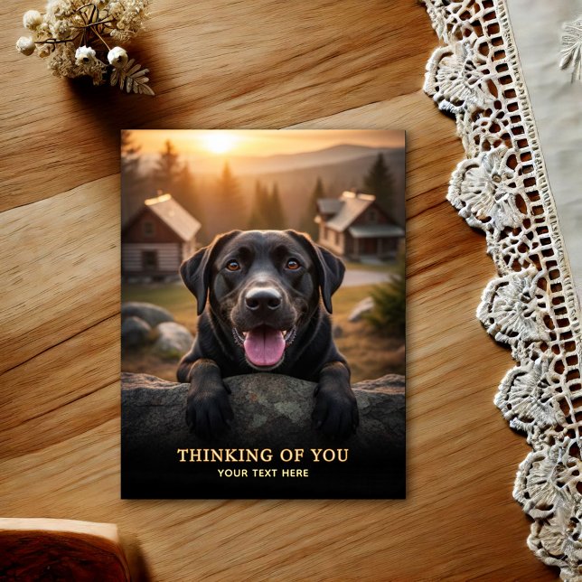 Labrador Retriever Tänker På Dig Postkort Vykort (Skapare uppladdad)