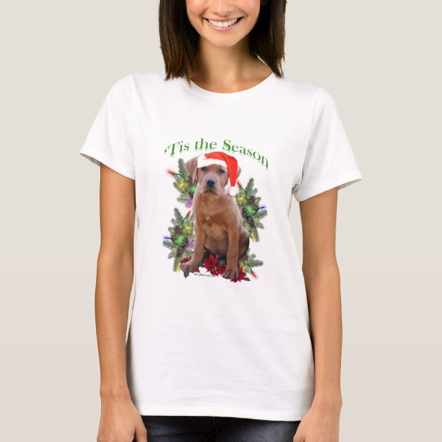 Labrador Retriever "Tis Tee Shirt (Framsida)