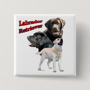 Labrador Retriever Trio 2 - Button Knapp