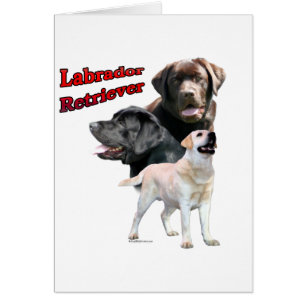 Labrador Retriever Trio 2 Hälsningskort