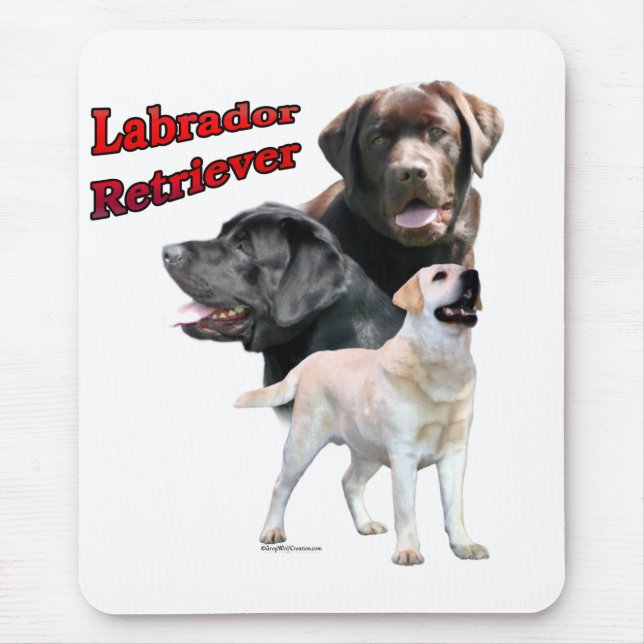 Labrador Retriever Trio 2 Musmatta (Framsidan)
