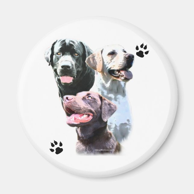 Labrador Retriever Trio - Magnet (Framsidan)