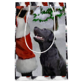 Labrador Retriever Tro jul