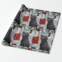 Labrador Retriever Tro jul Presentpapper