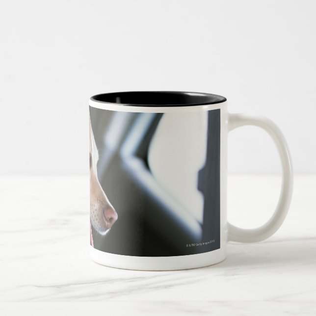 Labrador retriever Två-Tonad mugg (Höger)