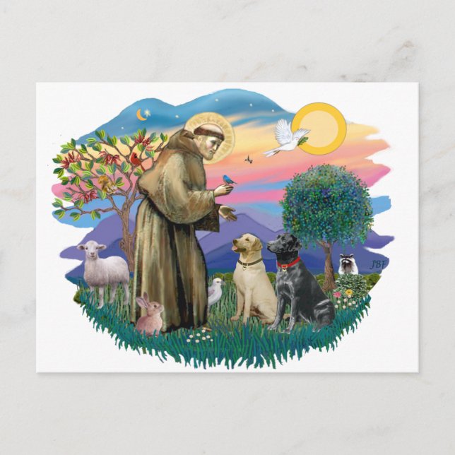 Labrador Retriever (två) Vykort (Framsida)