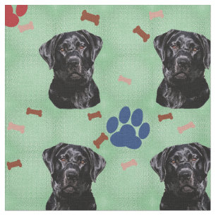 Labrador Retriever Tyg