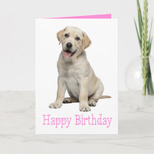 Labrador Retriever Valp Gul Lab Hund Födelsedag Kort
