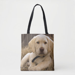 Labrador Retriever-valp Tygkasse