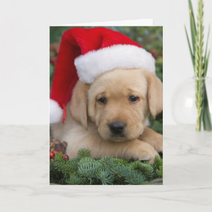 Labrador Retriever-valpen med Santa Hat Helgkort