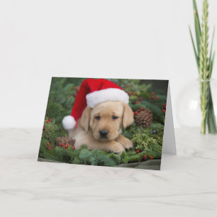 Labrador Retriever-valpen med Santa Hat Helgkort