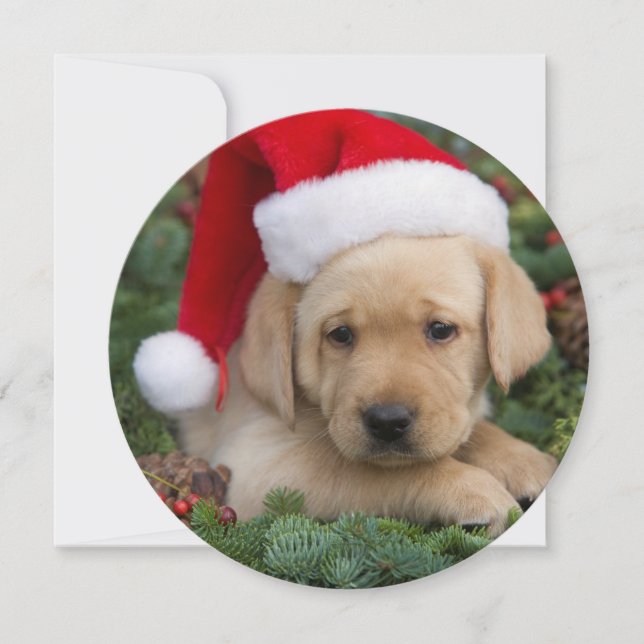 Labrador Retriever-valpen med Santa Hat Julkort (Framsida)