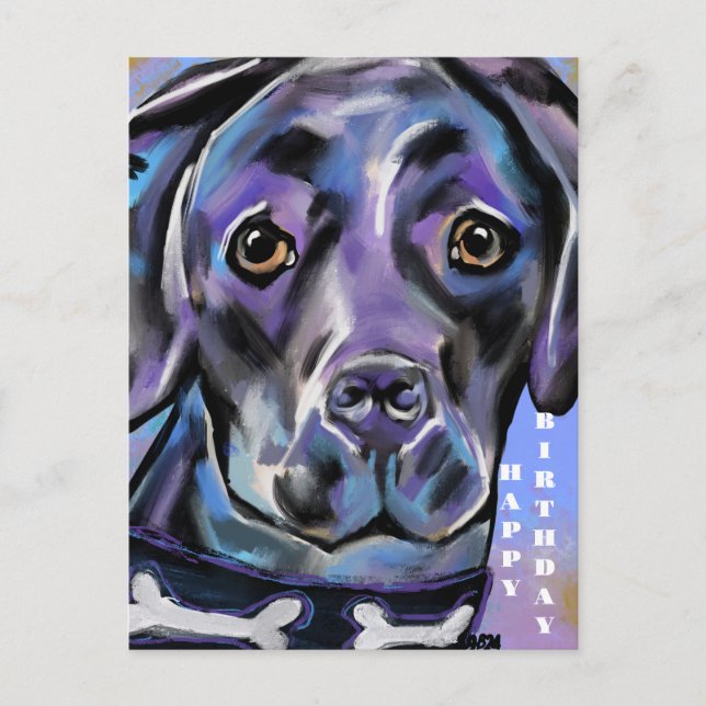 LABRADOR RETRIEVER            VYKORT (Framsida)