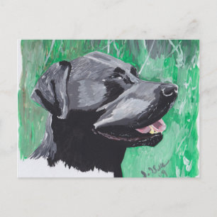 Labrador Retriever Vykort