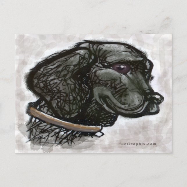 Labrador Retriever Vykort (Framsida)
