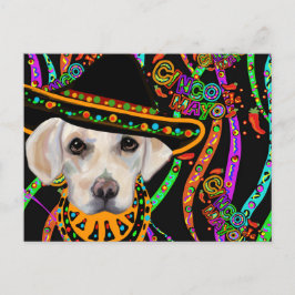 Labrador Retriever Vykort