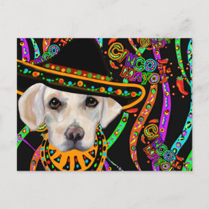Labrador Retriever Vykort