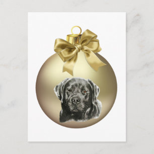 Labrador Retriever Vykort