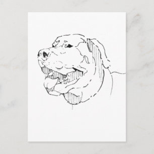 Labrador Retriever vykort – Handritad bläck