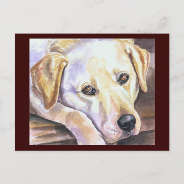 Labrador Retriever-vykort Vykort (Framsida)