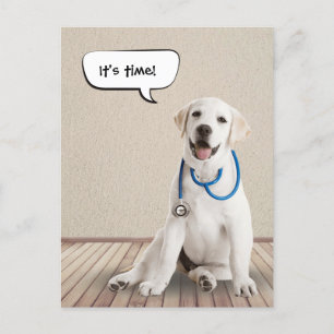 Labrador Retriever Withe Stethoscope Vykort