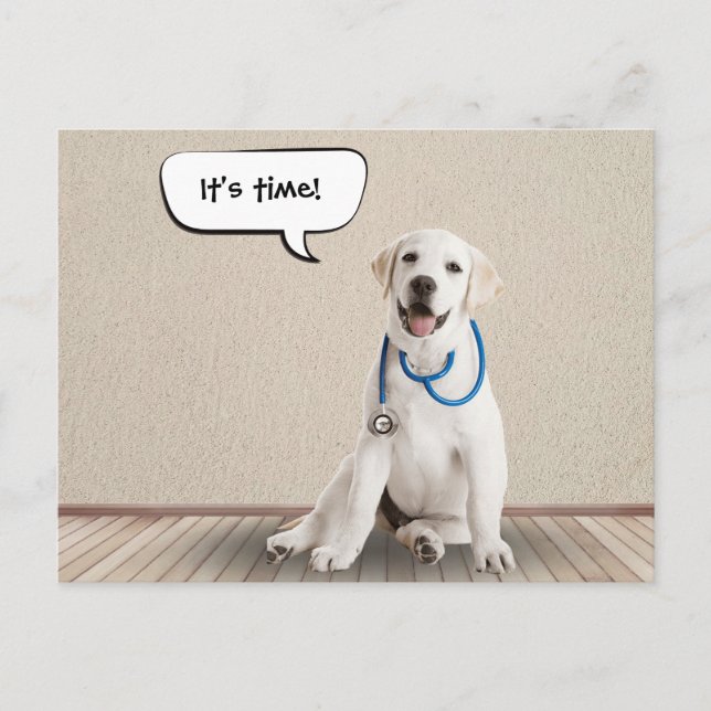 Labrador Retriever Withe Stethoscope Vykort (Framsida)