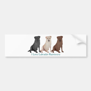 Labrador Retrievers - 3 färger som ska älskas Bildekal