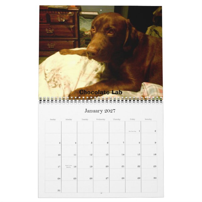 Labrador Retrievers Kalender (Jan 2027)