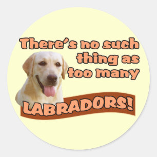 LABRADOR RETRIEVERS RUNT KLISTERMÄRKE