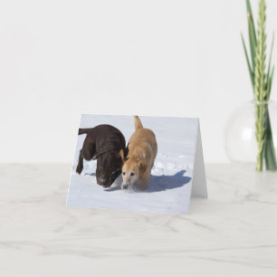 Labrador Retrievers spårning i Snö Hälsning Kort