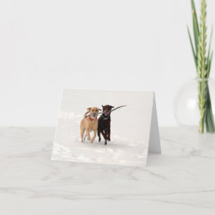 Labrador Retrievers spelar i Snö Hälsning Kort