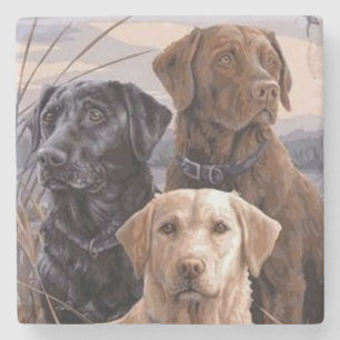 Labrador Retrievers Stenunderlägg