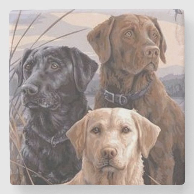 Labrador Retrievers Stenunderlägg (Framsidan)