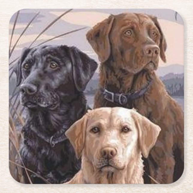 Labrador Retrievers Underlägg Papper Kvadrat (Framsidan)