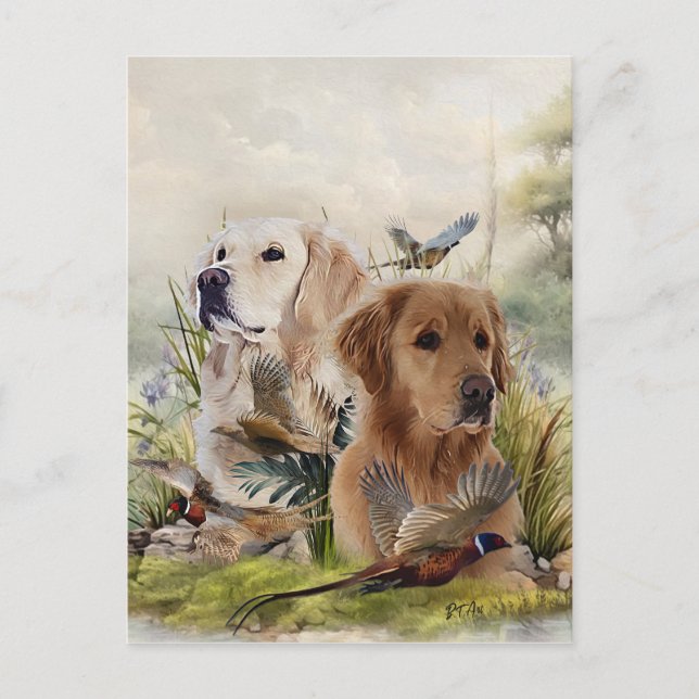 Labrador Retrievers with Pheasant ,Art Vykort (Framsida)