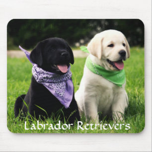 Labrador Retrivers Rule Puppies Mousepad Musmatta