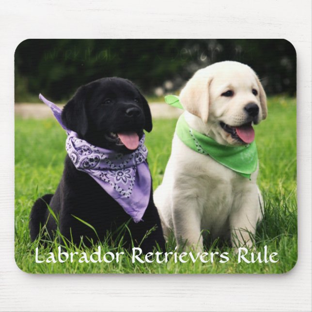 Labrador Retrivers Rule Puppies Mousepad Musmatta (Framsidan)